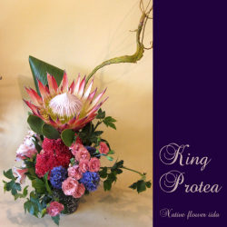 キングプロテア　アレンジ　楽屋花