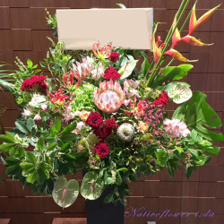 公演祝い　スタンド花　ネイティブフラワーイーダ　二子玉川の花屋