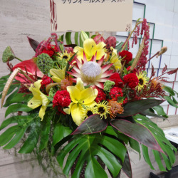 お祝い　スタンド花　東京　二子玉川の花屋　ネイティブフラワーイーダ