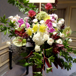 公演祝い　スタンド花　楽屋花　舞台公演祝い花　二子玉川　花屋　ネイティブフラワーイーダ