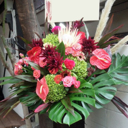 開店祝い　スタンド花　東京　二子玉川の花屋　ネイティブフラワーイーダ