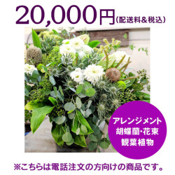 ネイティブフラワーイーダ電話注文20000円