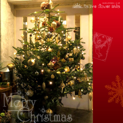クリスマスツリー　オリジナルデザイン　二子玉川の花屋ネイティブフラワーイーダ