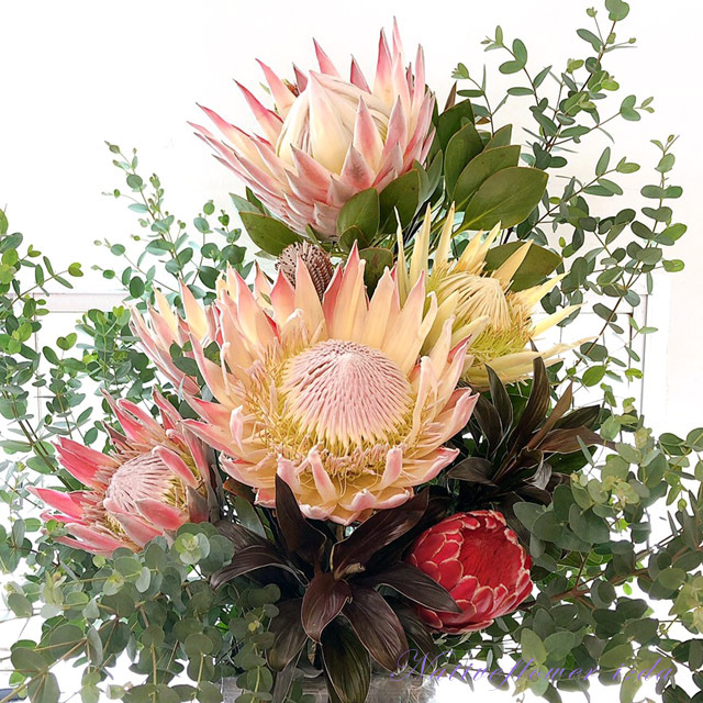 アレンジメント キングプロテアスペシャル 二子玉川の花屋 ネイティブフラワーイーダ