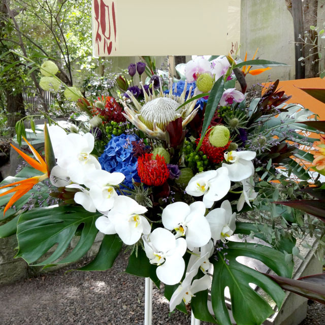 お祝い スタンド花 プロテアバード