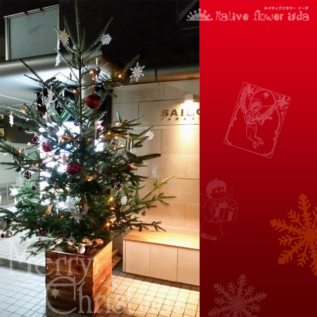 クリスマスツリー イーダオリジナル 高さ３ｍ