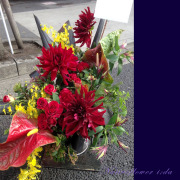 開店祝い　お花　アレンジメント