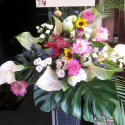 開店祝い　スタンド花　東京　二子玉川の花屋　ネイティブフラワーイーダ