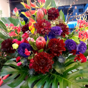 開店祝い　花　東京　アレンジメント　二子玉川の花屋　