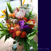 開店祝い　花　アレンジメント　ネイティブフラワー　ピンクッション　プロテア