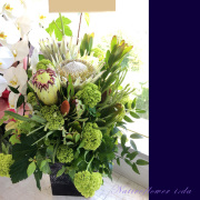 開店祝い花　アレンジメント　二子玉川の花屋ネイティブフラワーイーダ