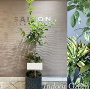 二子玉川花屋　ネイティブフラワーイーダ おまかせ観葉植物