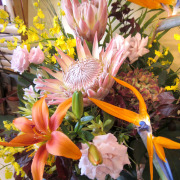 スタンド花 東京　おまかせスタンド花　ネイティブフラワーイーダ