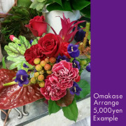 お祝い花　おまかせアレンジ5000　二子玉川の花屋ネイティブフラワーイーダ
