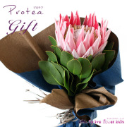 プロテアギフト１
