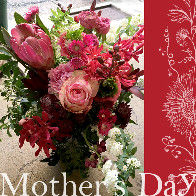 母の日　花　ネイティブフラワーイーダ　おまかせアレンジ10000