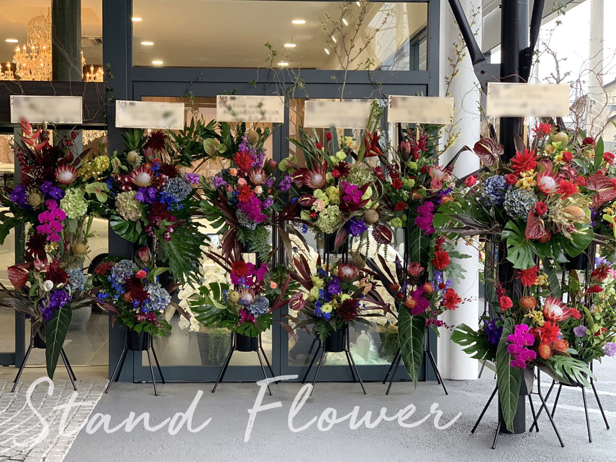 二子玉川の花屋　ネイティブフラワーイーダ　お祝いに贈るスタンド花,アレンジメント,胡蝶蘭、観葉植物などおまかせください。