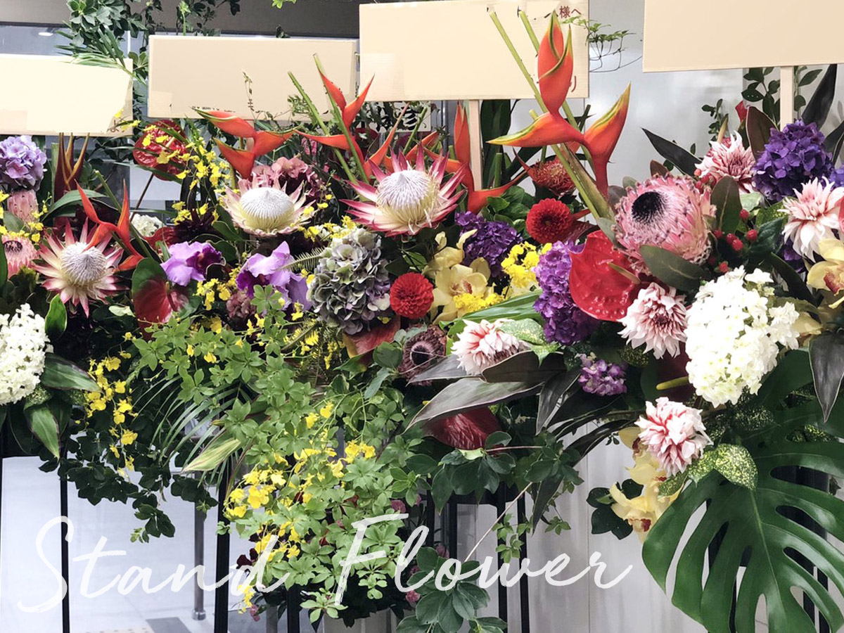 二子玉川の花屋　ネイティブフラワーイーダ　お祝いに贈るスタンド花,アレンジメント,胡蝶蘭、観葉植物などおまかせください。