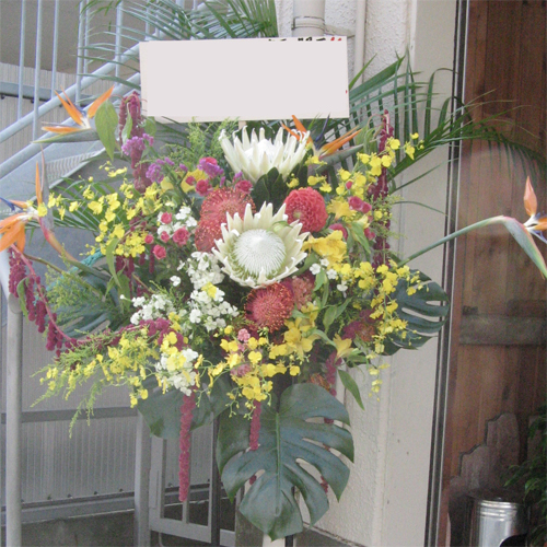 【お祝いスタンド花】王者の風格®ホワイトキングプロテア