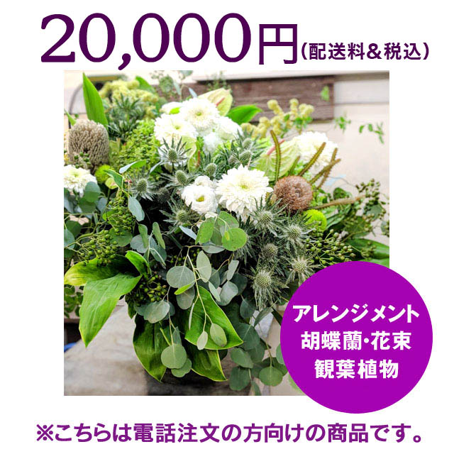 ネイティブフラワーイーダ電話注文20000円
