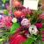 楽屋花　公演祝い花　二子玉川の花屋　ネイティブフラワーイーダ