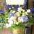 開店祝い　スタンド花　東京　二子玉川の花屋　ネイティブフラワーイーダ