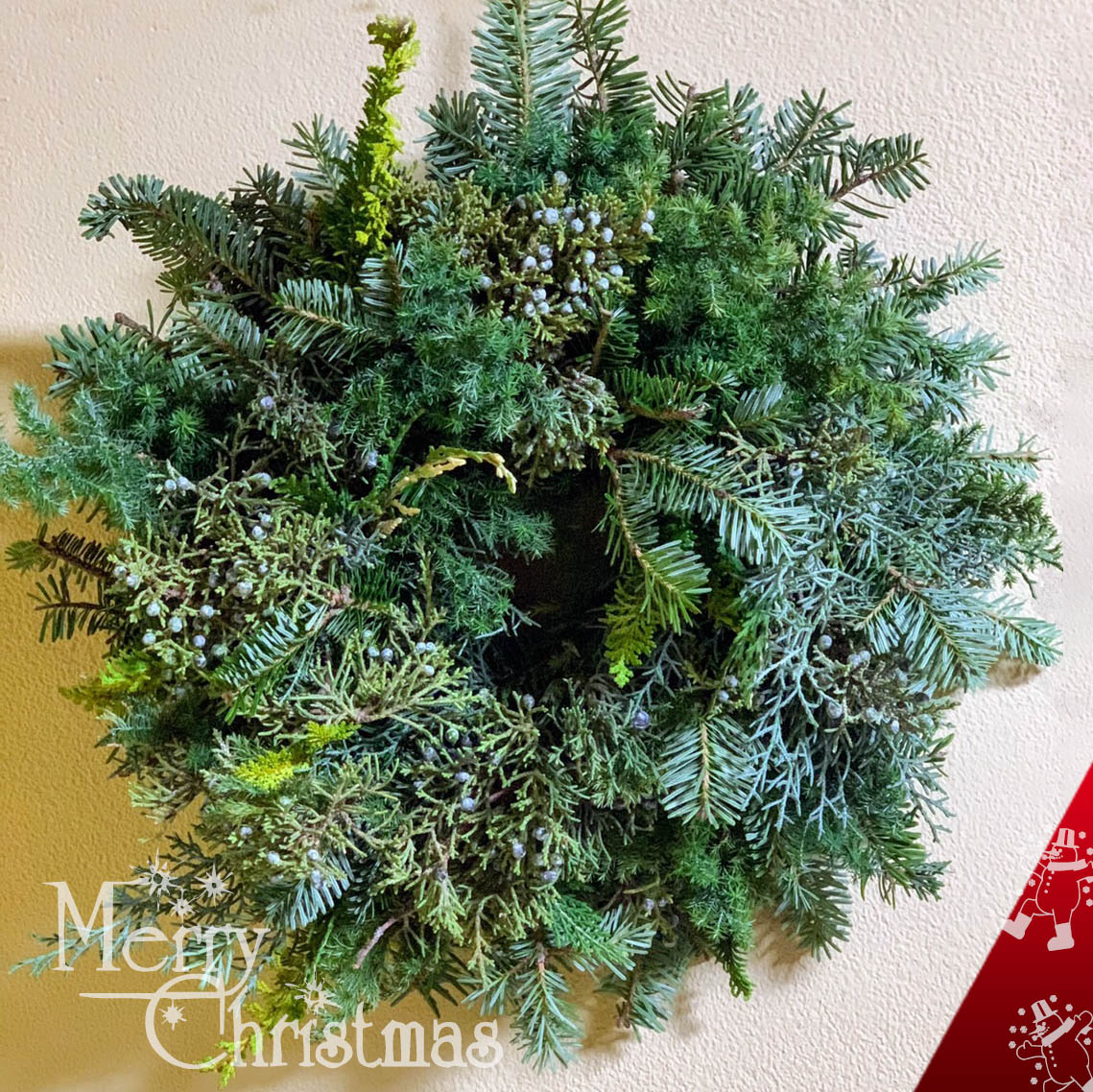二子玉川花屋　ネイティブフラワーイーダ クリスマスリース