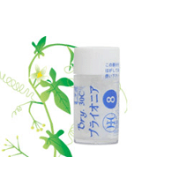 Staph. 【基本35】/スタフィサグリア 30C (小ビン)