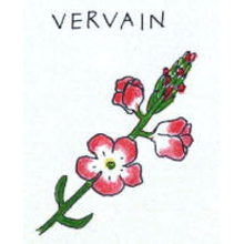 バッチフラワーレメディ【No.31 バーベイン】(10ml)