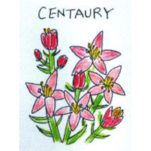 バッチフラワーレメディ【No.4 セントリー】(10ml)