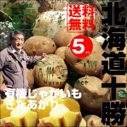 北海道の秋をまるごとお届け！ 「泉さんの有機じゃがいも（きたあかり）」（5kg）【送料無料】
