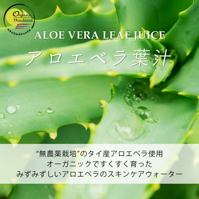 アロエベラ葉汁
