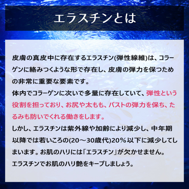エラスチン原液 70ml 自然化粧品研究所 エラスチン原液 70ml 自然化粧品研究所