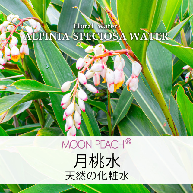 MOON PEACH 月桃水