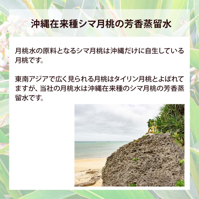 MOON PEACH 月桃水