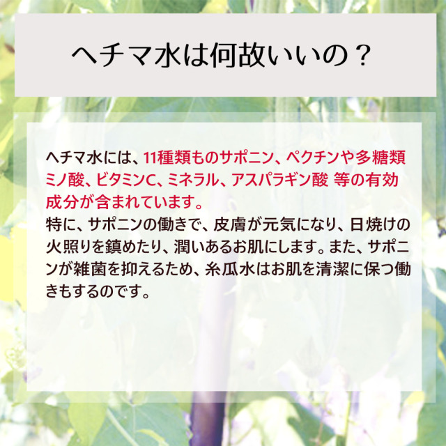 ヘチマ水 へちま水 100ml 詰め替え用 ポスト投函可 自然化粧品研究所