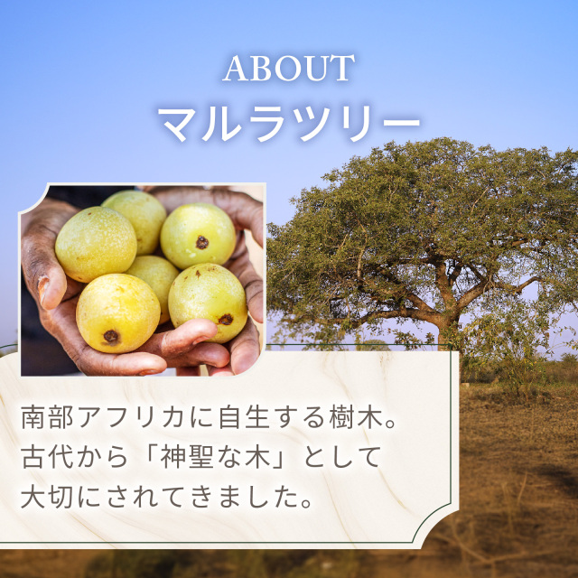 マルラオイル