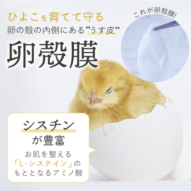 卵殻膜エキス美容液