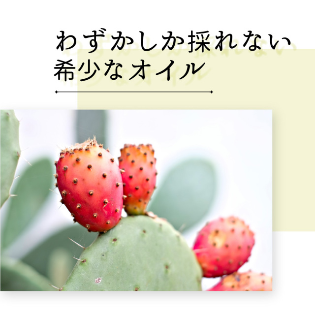 オーガニック ウチワサボテンオイル