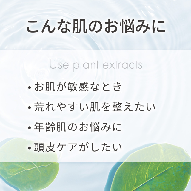 サクラエキス 原液 100％ 20mL 遮光プラボトル 自然化粧品研究所