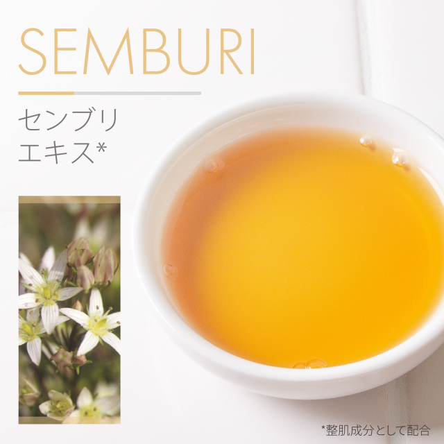 センブリエキス 原液 100％ 20mL 遮光プラボトル 自然化粧品研究所