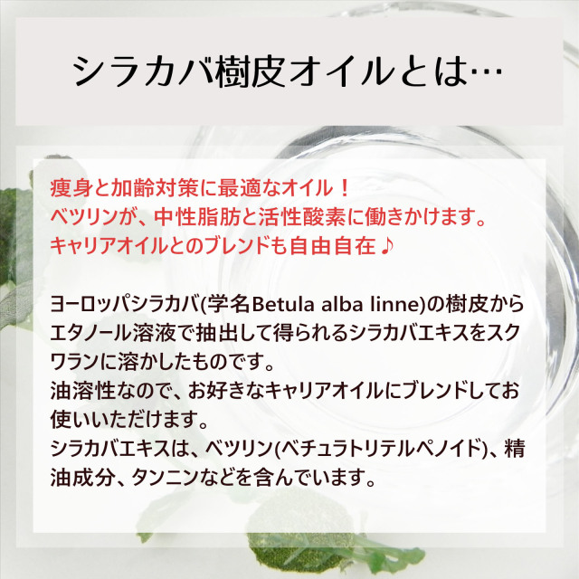 シラカバ樹皮オイル