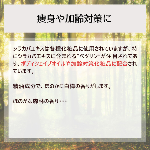 シラカバ樹皮オイル