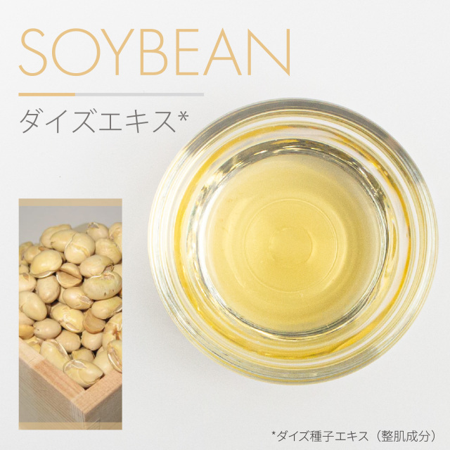 大豆エキス（ダイズエキス）