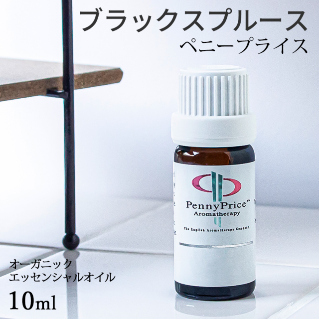 ペニープライス　ブラックスプルース