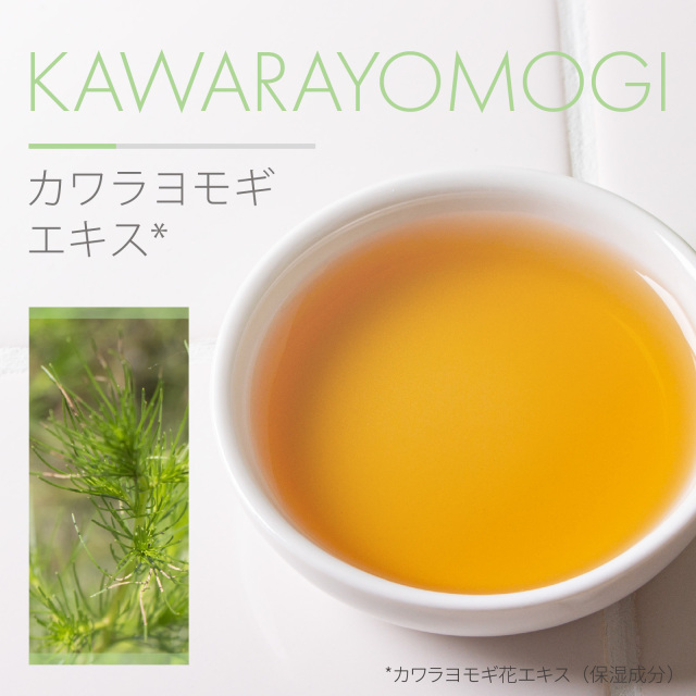 カワラヨモギエキス