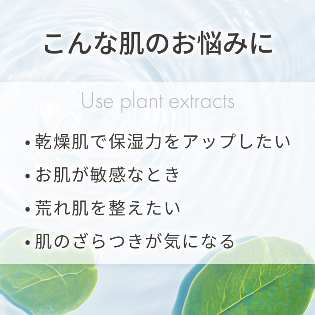 カワラヨモギエキス