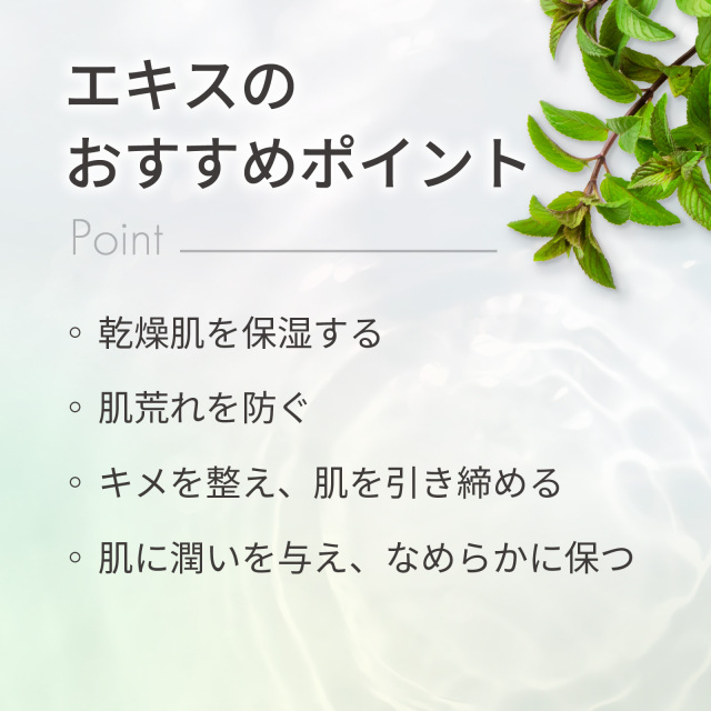 カワラヨモギエキス