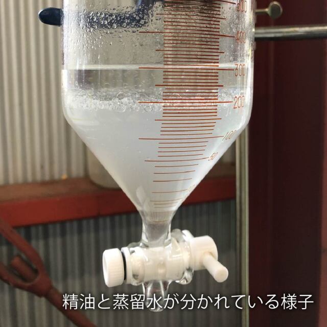 ゆず 柚子ウォーター