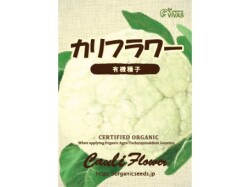 丸疣カリフラワー　実生接 オーガニック家庭菜園ライフにおすすめ】有機種子カリフラワー＜0.5